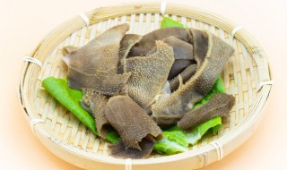 捞汁毛肚的做法和配方 捞汁毛肚的做法和配方大全