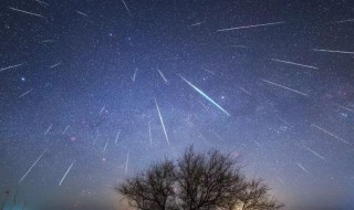 追星星的短句（追星星的人说说）