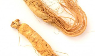 太极参功效与作用（太极参功效与作用是什么）