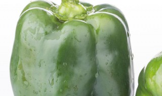 青圆椒的功效与作用及害处（青圆椒的营养价值及功效与作用）