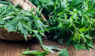 五月五艾头煲鸡的功效 五月艾头煲鸡蛋的功效