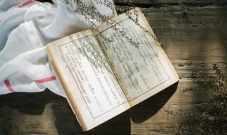 年少不知青衫薄一许四月梦沉舟是什么意思 年少不知青衫薄一许四月梦沉舟的意思