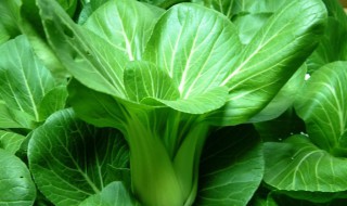 蒜香小油菜做法步骤 蒜香小油菜怎么炒才好吃