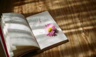 邮戳儿怎么读 邮戳儿怎么读儿化音