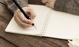 鞘翅怎么读 鞘翅怎么读什么意思