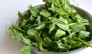 豌豆叶怎么做好吃 豌豆叶怎么做好吃呢视频