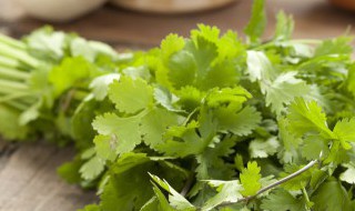 食香菜怎么做好吃 食香菜怎么做好吃又简单