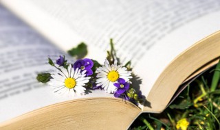 关于成功的道理的名人名言（关于成功的至理名言）