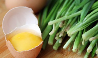 白领吃什么食物可以补肾（白领的早餐吃什么）