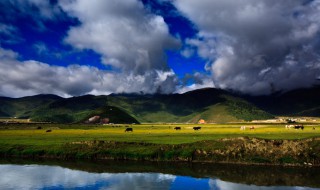 香格里拉旅游景点必去（香格里拉旅游景点必去的地方）