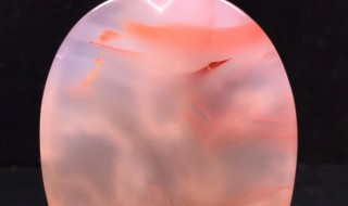 荔枝冻是什么料 荔枝冻是哪里的料