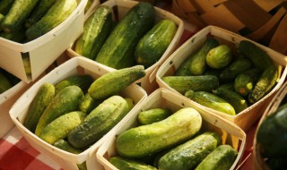老黄瓜的功效与作用 老黄瓜的功效与作用百度百科