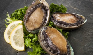 鲍鱼营养作用与功效 鲍鱼营养作用与功效百度百科