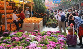 一什么花坛（一什么花坛一年级）