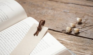 绿野仙踪的寓意（绿野仙踪的寓意和象征）