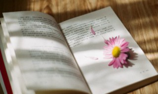 拈轻怕重造句 拈轻怕重造句10字