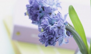 描写田园风光的古诗词（描写田园风光的古诗词(6篇）