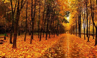 描写秋天的古诗词（描写秋天的古诗词50首）