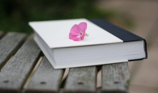 李白的诗词风格特点（李白的诗歌风格特点有哪些?）