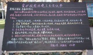 保护环境倡议书（保护环境倡议书300字）