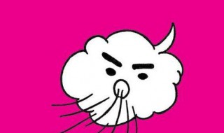 有关风的诗句（有关风的诗句 古诗）