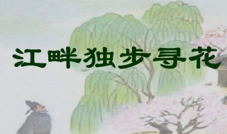 江畔独步寻花其六原文及翻译 江畔独步寻花其六古诗译文