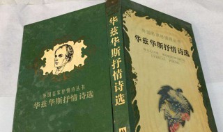 华兹华斯诗歌创作的特点(华兹华斯的诗歌创作特色)