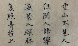 空山不见人全诗 空山不见人全诗解释