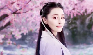 小龙女的师姐介绍（小龙女的师姐介绍图片）