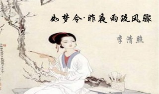 昨夜雨疏风聚原文 昨夜雨疏风骤古诗