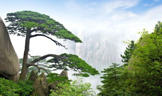 安徽导游词内容(安徽12篇导游词分别是什么)