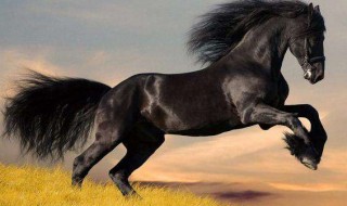 关于马的成语故事 关于马的成语故事大全