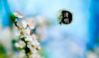 有关清明的诗(有关清明的诗句古诗大全)