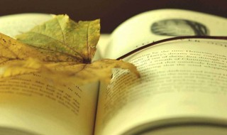 一字值千金的上一句是什么（一字值千金的上一句是什么古诗）