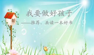 读一本好书的读后感（读一本好书的读后感800字）