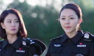 警花与警犬演员表（警花与警犬演员表介绍 女演员）