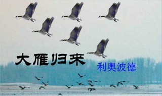 大雁归来教案 大雁归来教案设计