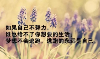 感悟生活的句子30句（感悟生活的句子30句图片）