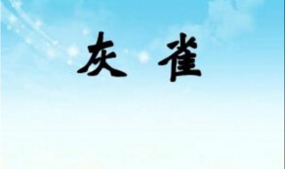 灰雀教学设计内容 《灰雀》的教学设计