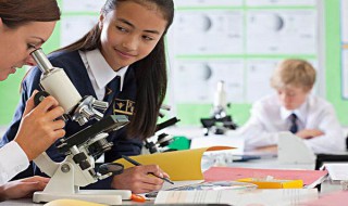 六年级科学教案内容(六年级科学科教版教案)