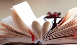 带鸟的诗句 带鸟的诗句有哪些