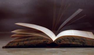 鲁滨孙漂流记读后感600字(鲁滨孙漂流记读后感600字6年级)