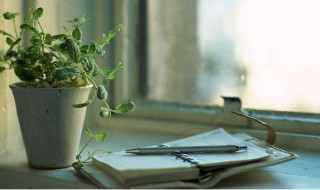 百战沙场碎铁衣写的是什么 百战沙场碎铁衣 城南已合数重围打一物