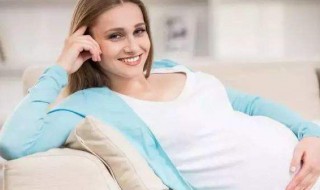 胚胎发育过程介绍 胚胎发育过程详解