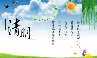 清明节感受 清明节感受20字