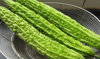 苦瓜减肥法介绍 苦瓜减肥有效果吗