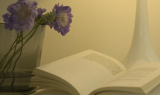 双桅船赏析（双桅船鉴赏）