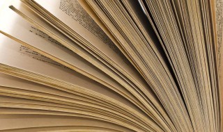 像什么像什么造句(像什么像什么造句三年级)