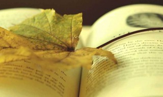 霸气的诗句（励志霸气的诗句）