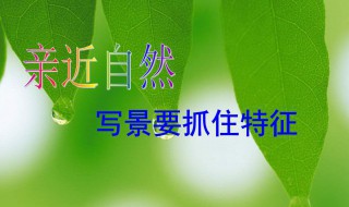 写景的句子 写景的句子摘抄